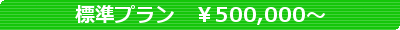 標準.gif